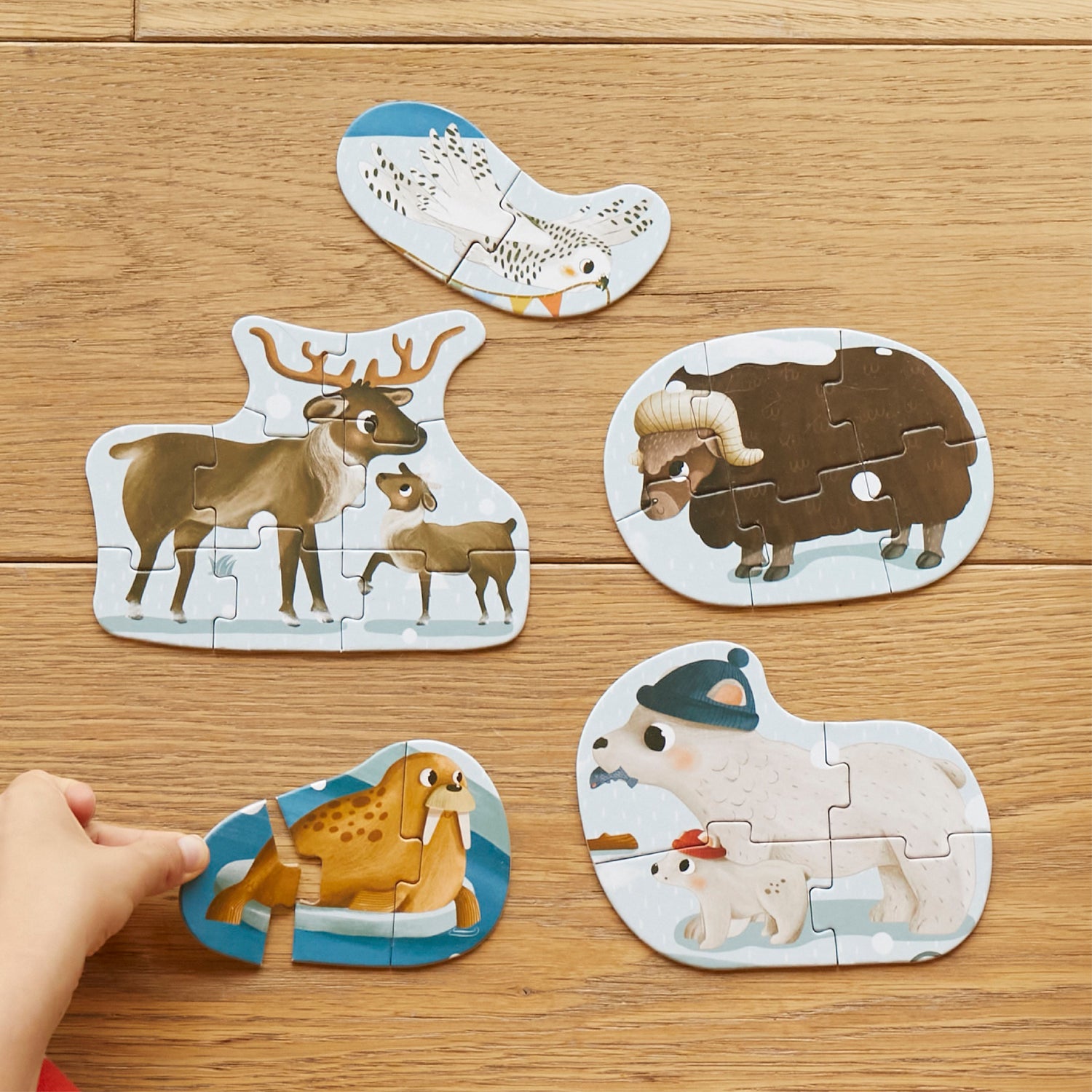 A Day in Arctic - 6-in-1 Progressive Puzzle moritoys