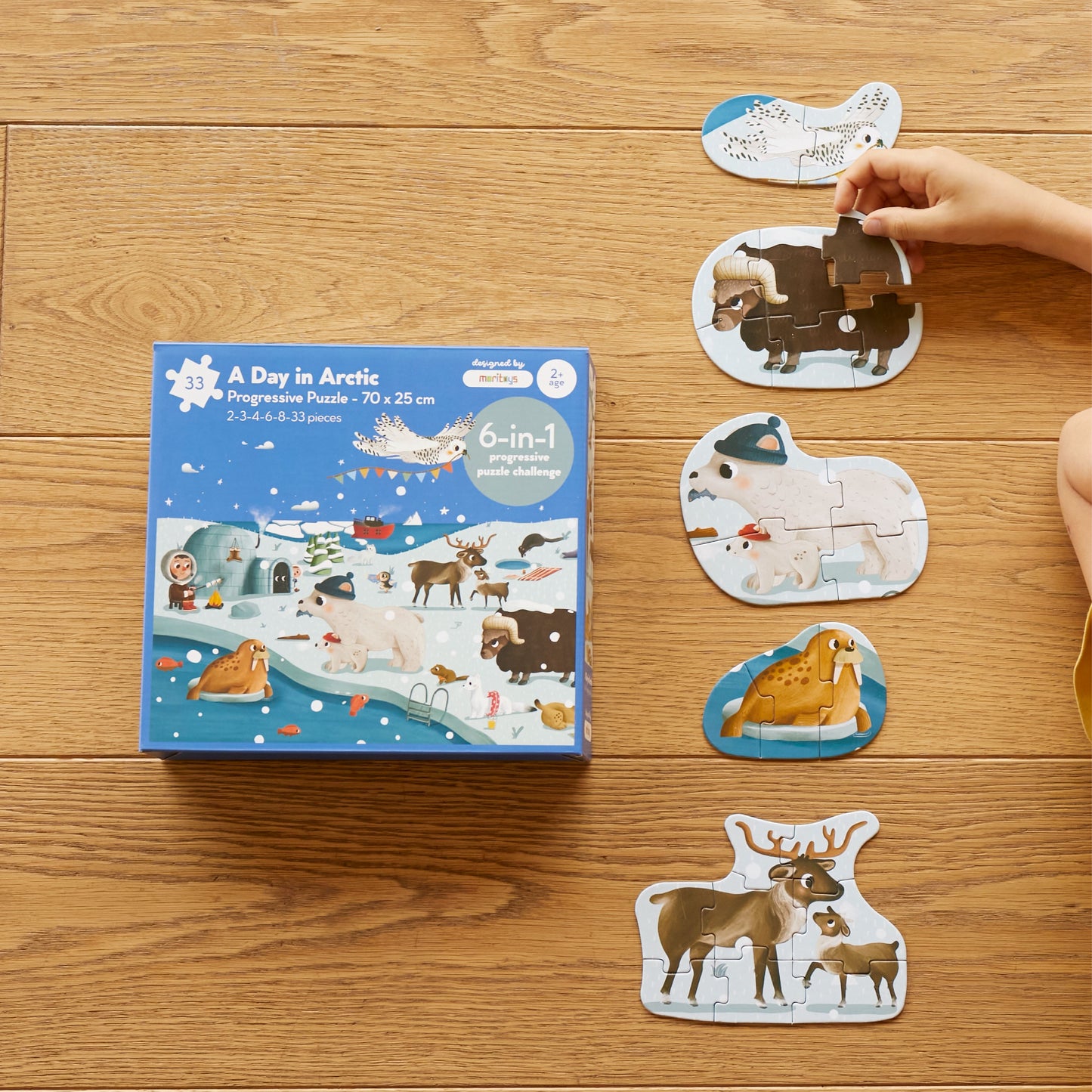 A Day in Arctic - 6-in-1 Progressive Puzzle moritoys