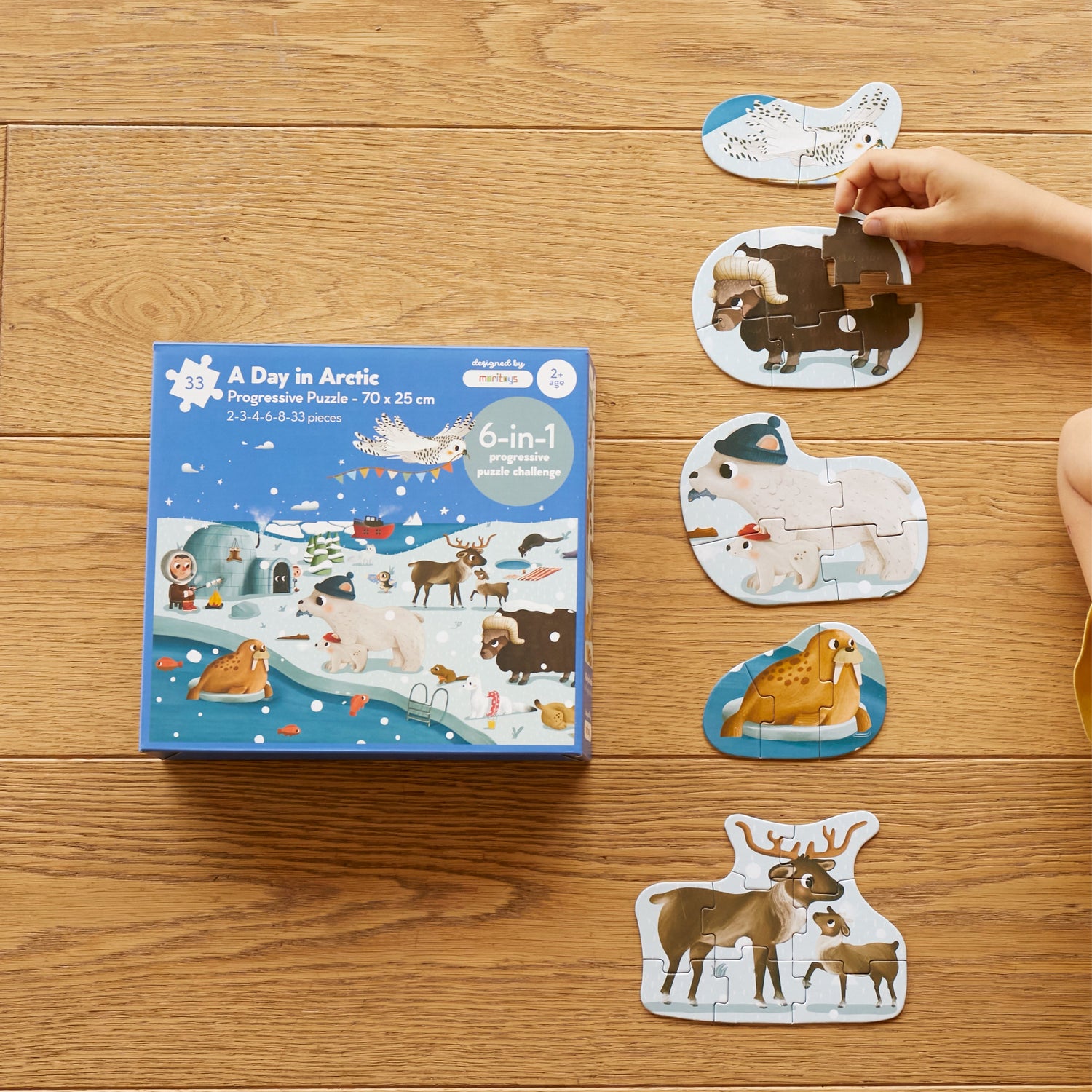 A Day in Arctic - 6-in-1 Progressive Puzzle moritoys