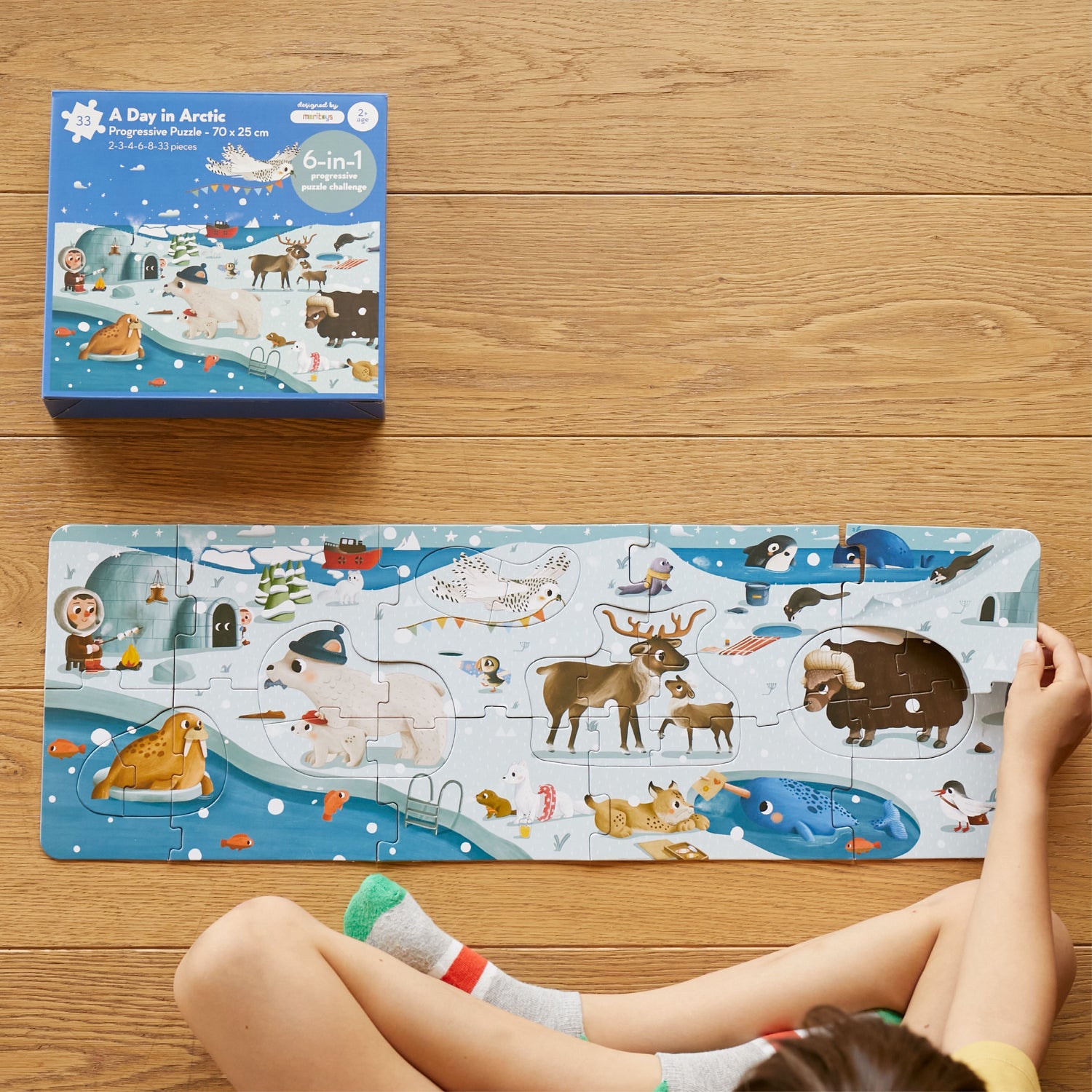 A Day in Arctic - 6-in-1 Progressive Puzzle moritoys 